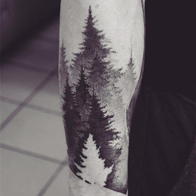 Forest Trees On Guys Arm