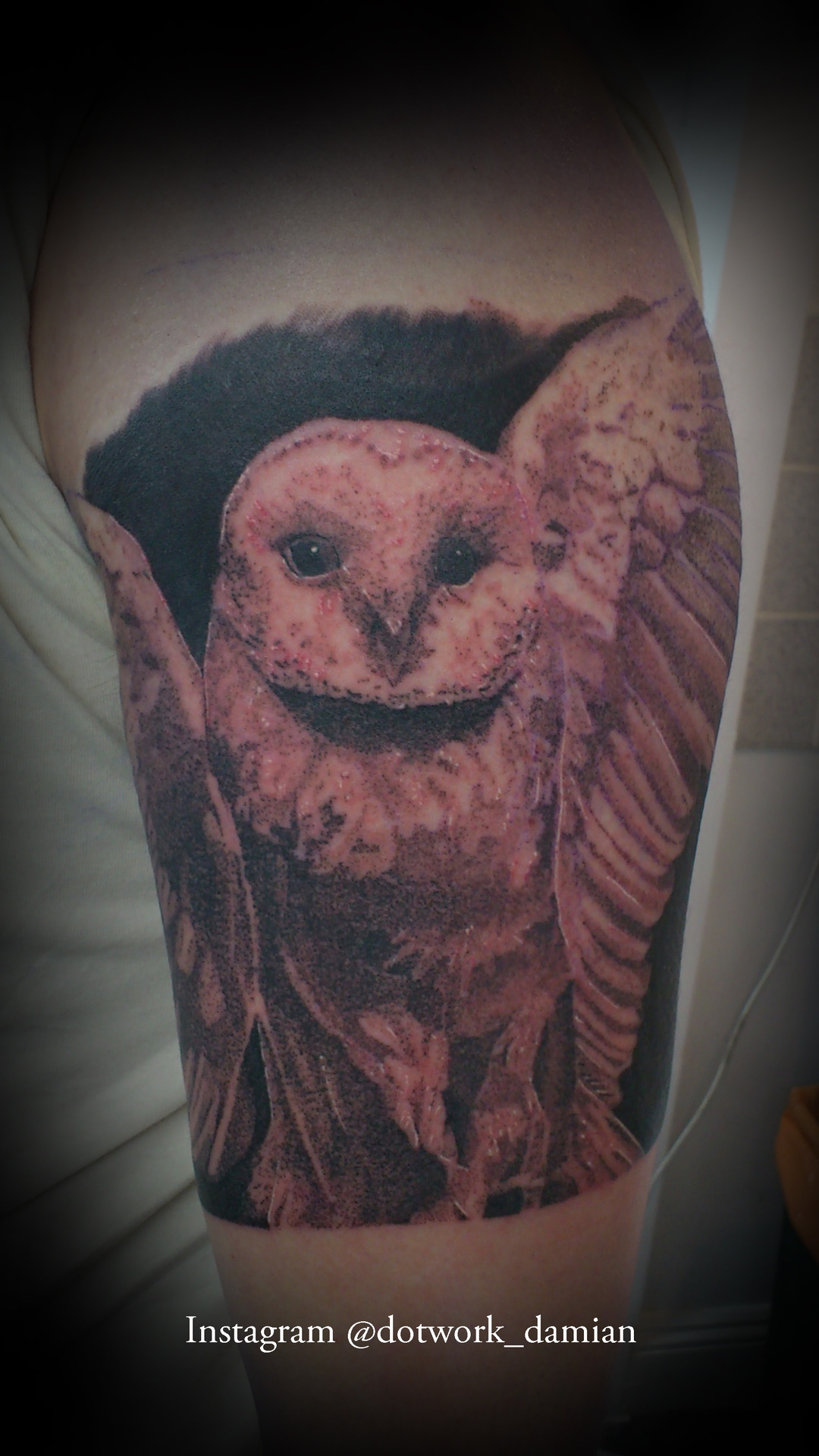 Realistic owl tattoo