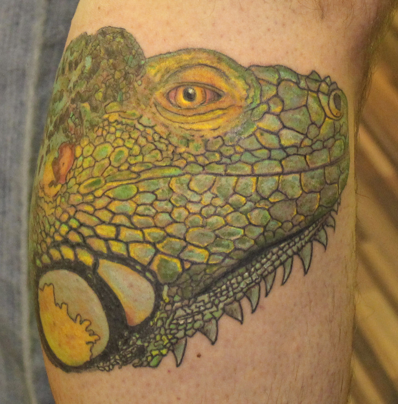 Tattoo tagged with chameleon portrait  inkedappcom