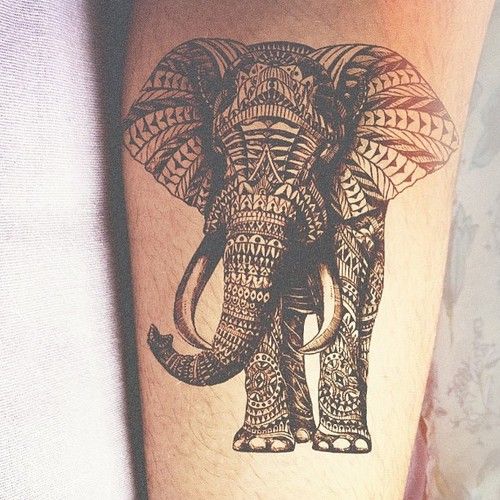 Amazing Black Ink Of Elephant