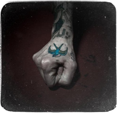 swallow sparrow tattoo single needle fineline hand  Jakub Settgast