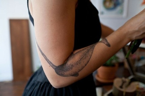 Narwhal Tattoo On Arm