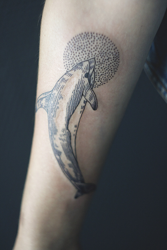 Dolphin (Alina Zubova)