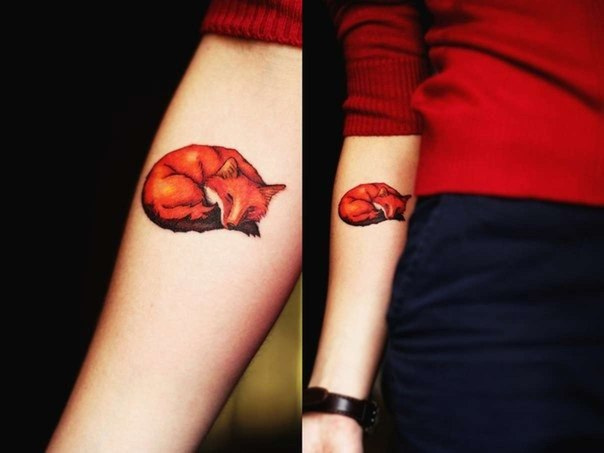 Sleeping Fox Arm Tattoo