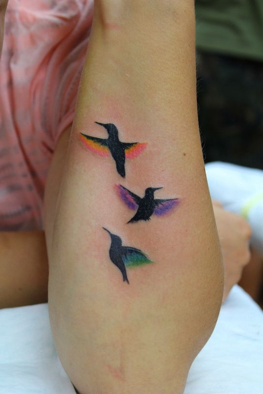 Colourful Hummingbirds