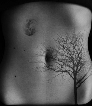 Moon & Tree Stomach Tattoo