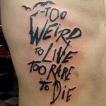Too Weird To Live Too Rare To Die