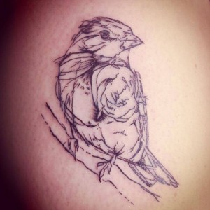 Sparrow Sketch Tattoo