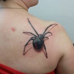 Spider Back Tattoo