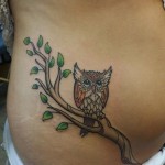 Owl on a Branch Belly Tattoo