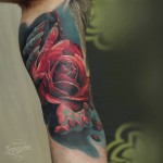 Red Rose & Hands