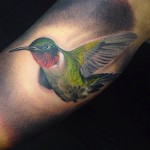Green Hummingbird Tattoo