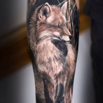 Fox Arm Tattoo