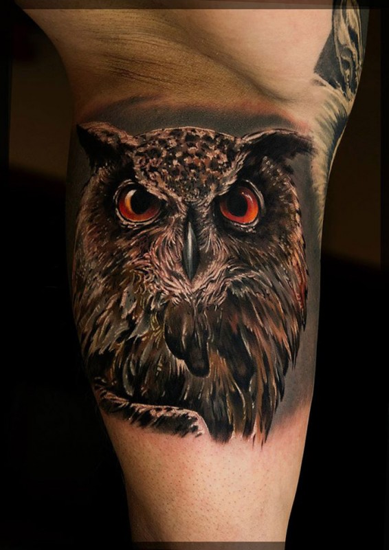 Owl Realism Tattoo