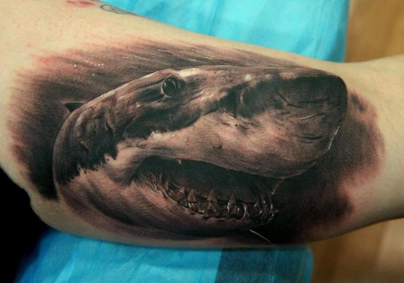 Shark Bicep Tattoo