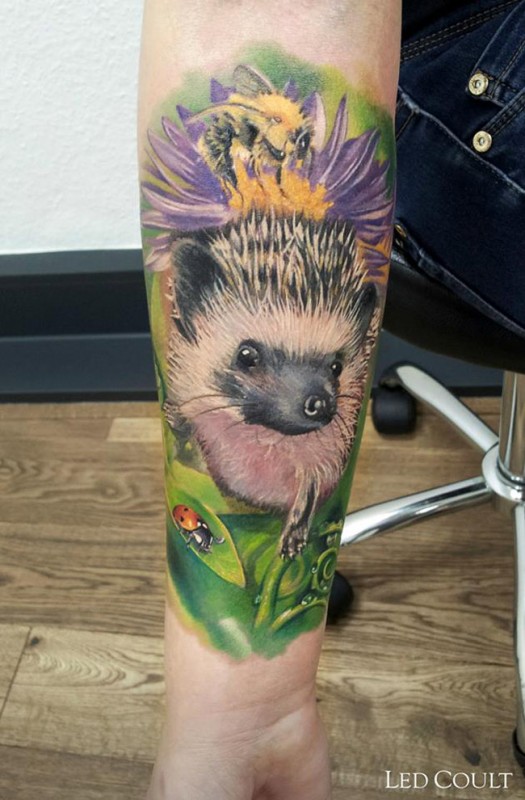 Hedgehog Tatt
