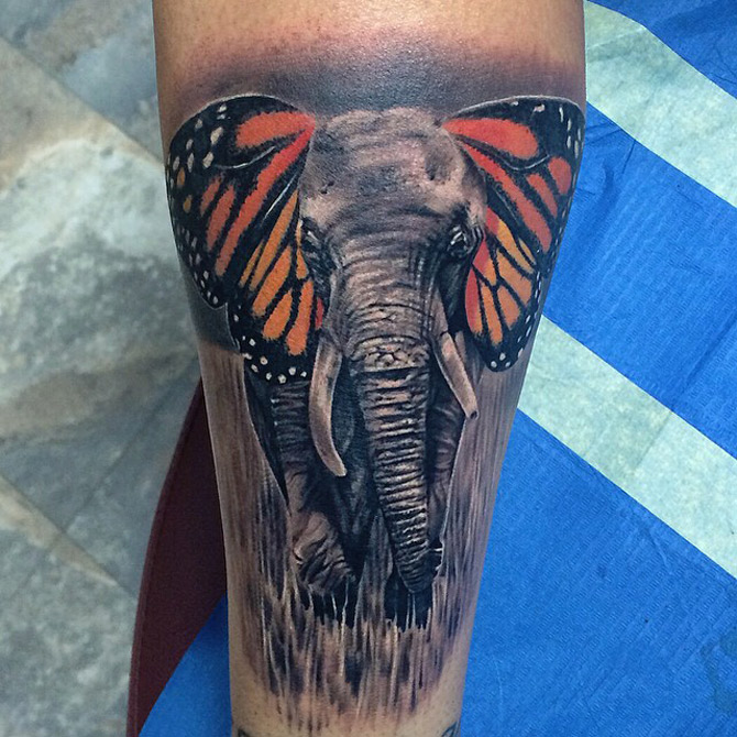 Elephant Butterfly Tattoo