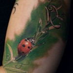 Ladybird Tattoo