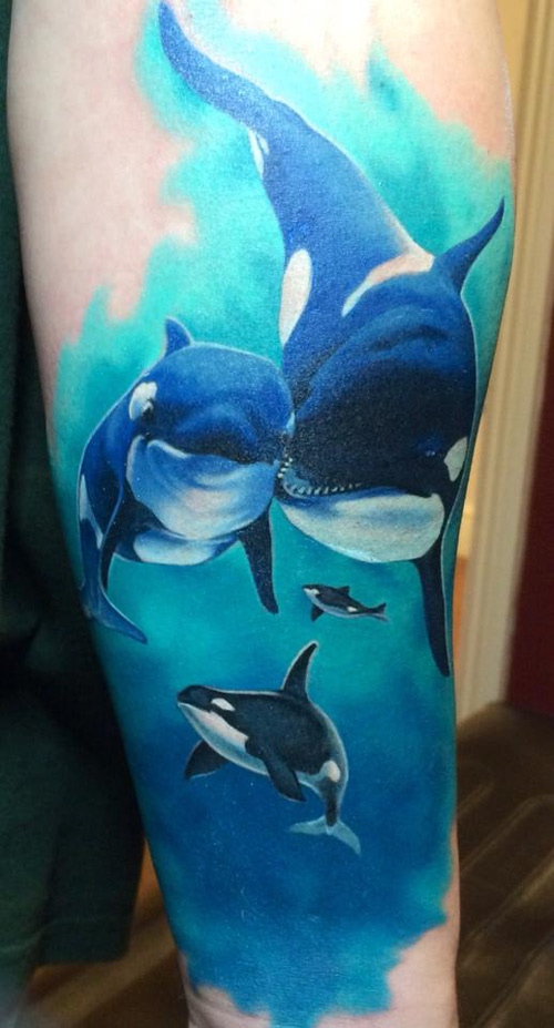 Orca Sleeve