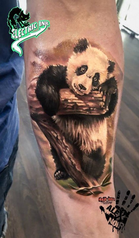 Panda forearm tattoo