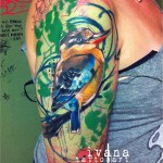 Kookaburra Tattoo
