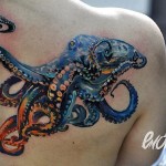 Awesome Octopus