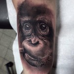 Baby Chimp Portrait
