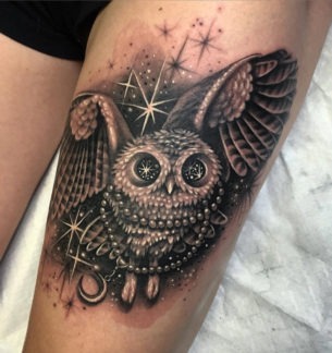 Owl Starry Eyes