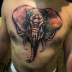 Elephant chest tatoo