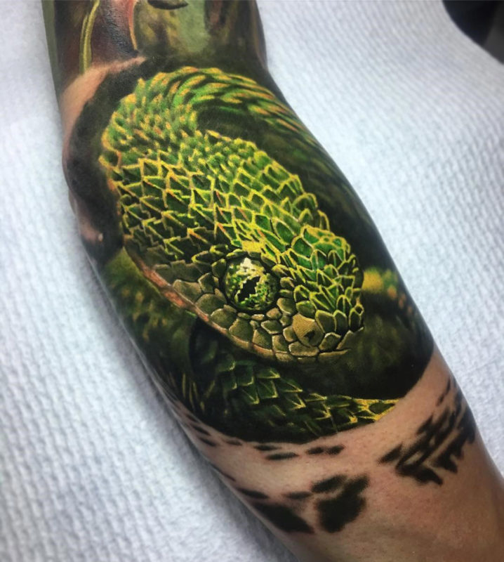 Bush Viper tattoo