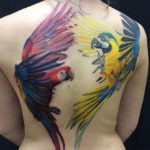 Macaws Back Tattoo