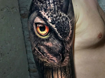 Owl & Forest