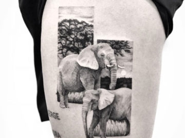 Abstract Elephants