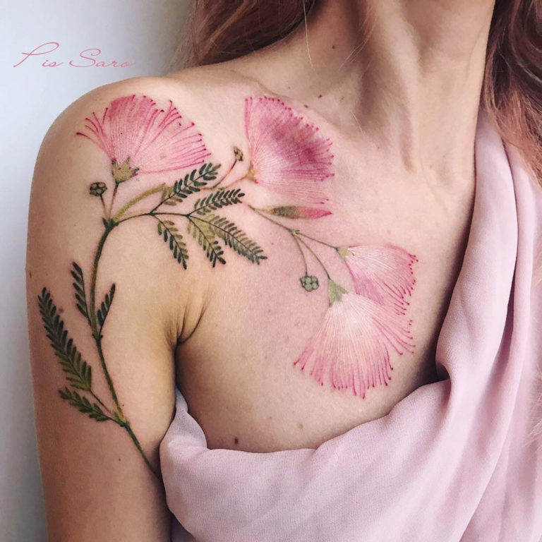 Little branch of mimosa by... - Thistle and fern tattoo | Facebook
