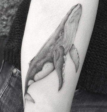 Humpback Whale b&g arm tattoo