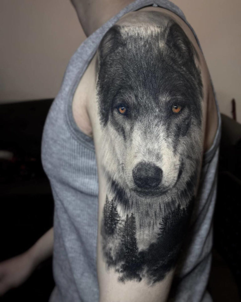 Realistic Wolf Portrait