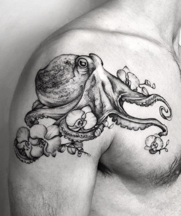 Octopus & Orchids
