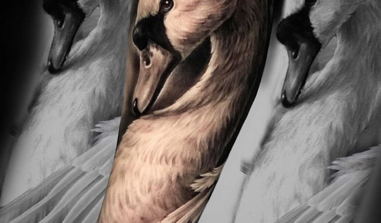 Swan Forearm Tattoo
