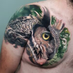 Owl tattoo on shoulder and chest