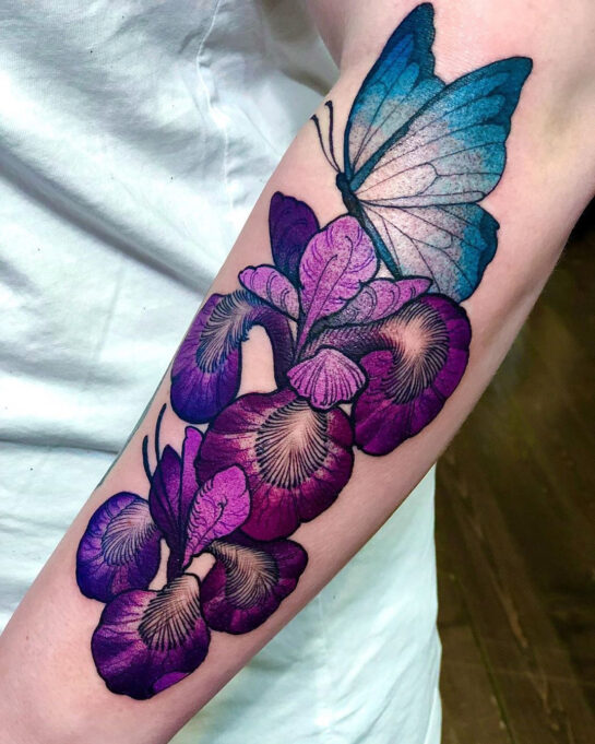 Butterfly & Iris Flower