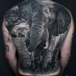 Elephant Back