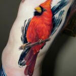 Realistic Cardinal Bird
