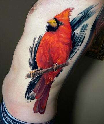 Realistic Cardinal Bird