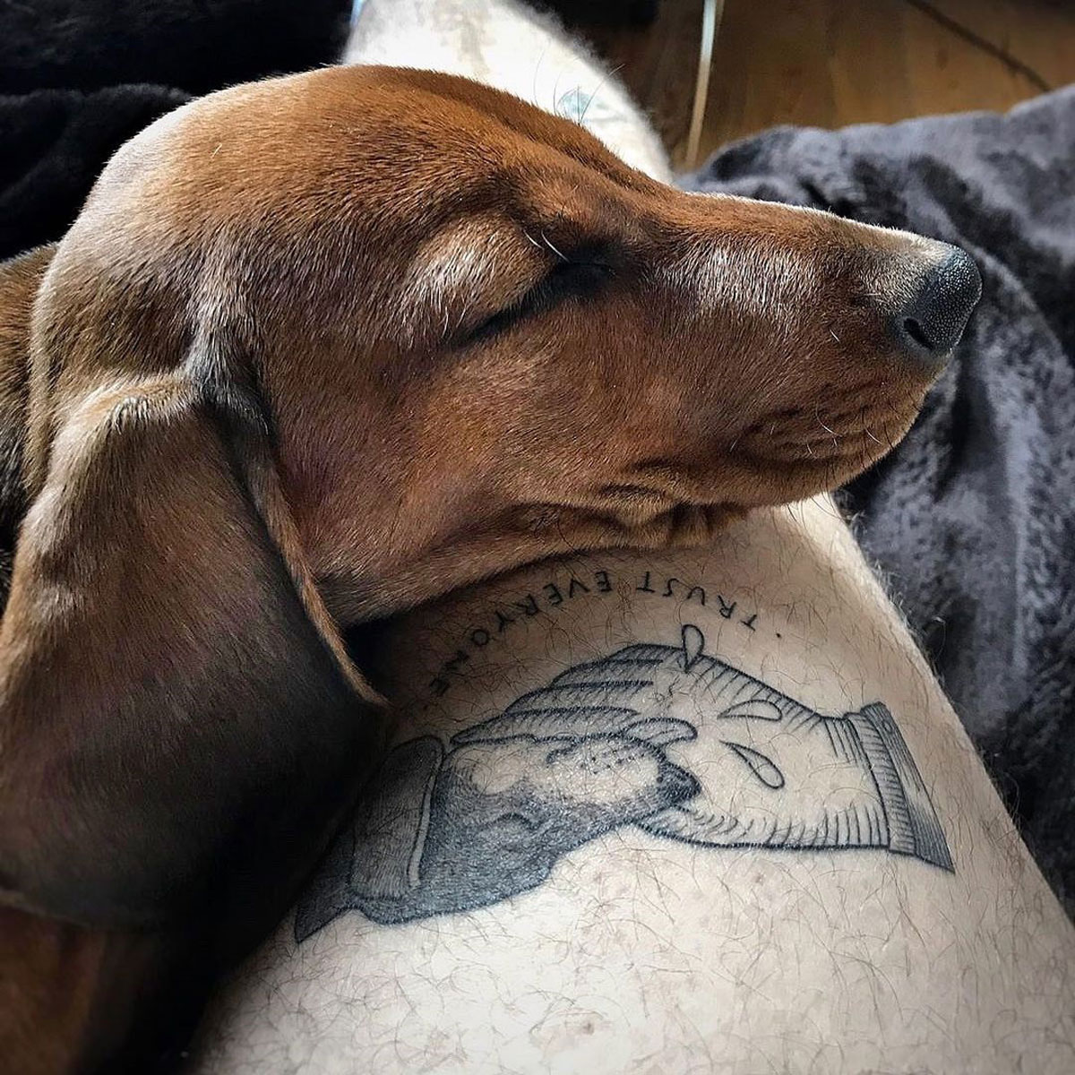 The tattoo inspiration dog
