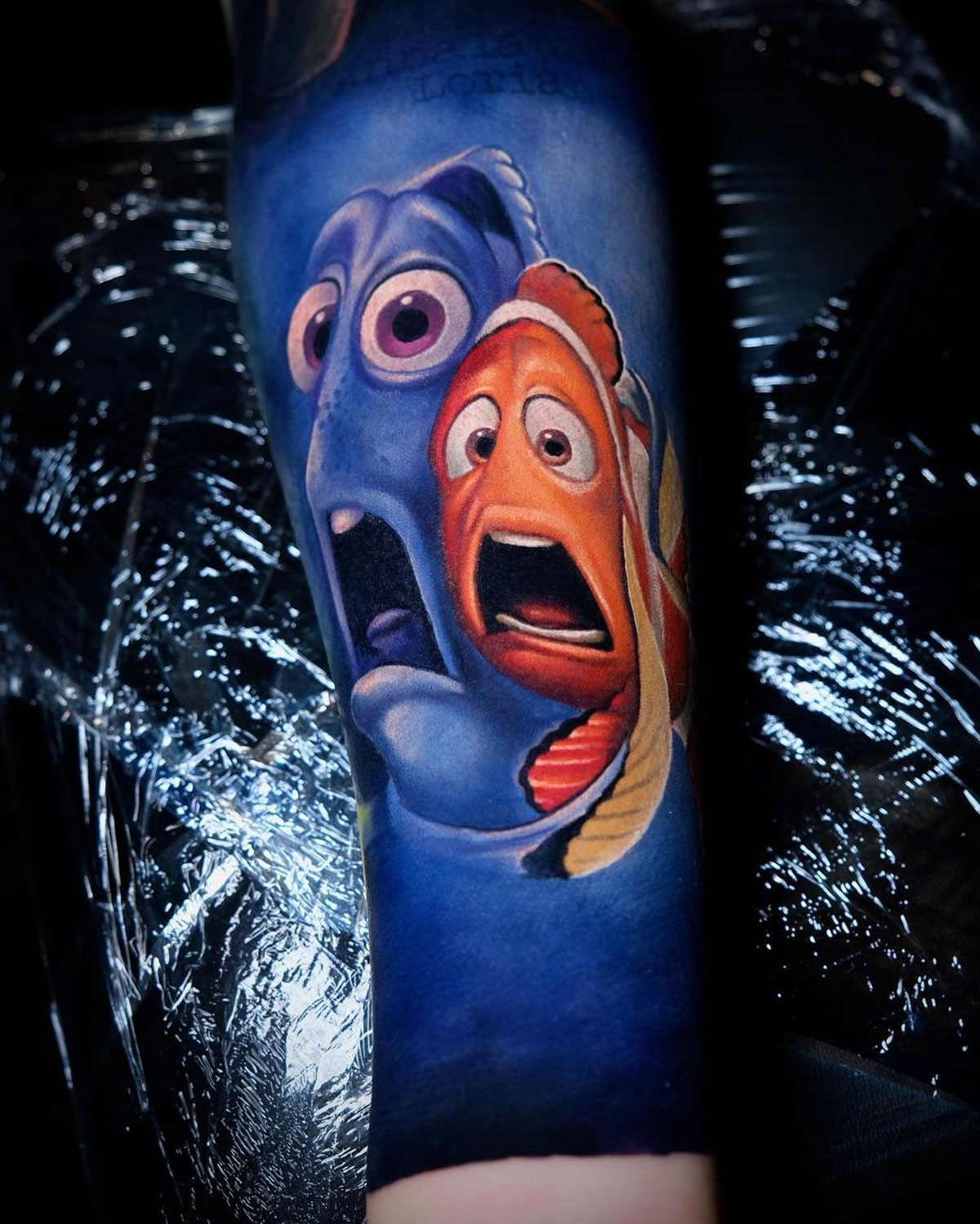 Nemo & Dory
