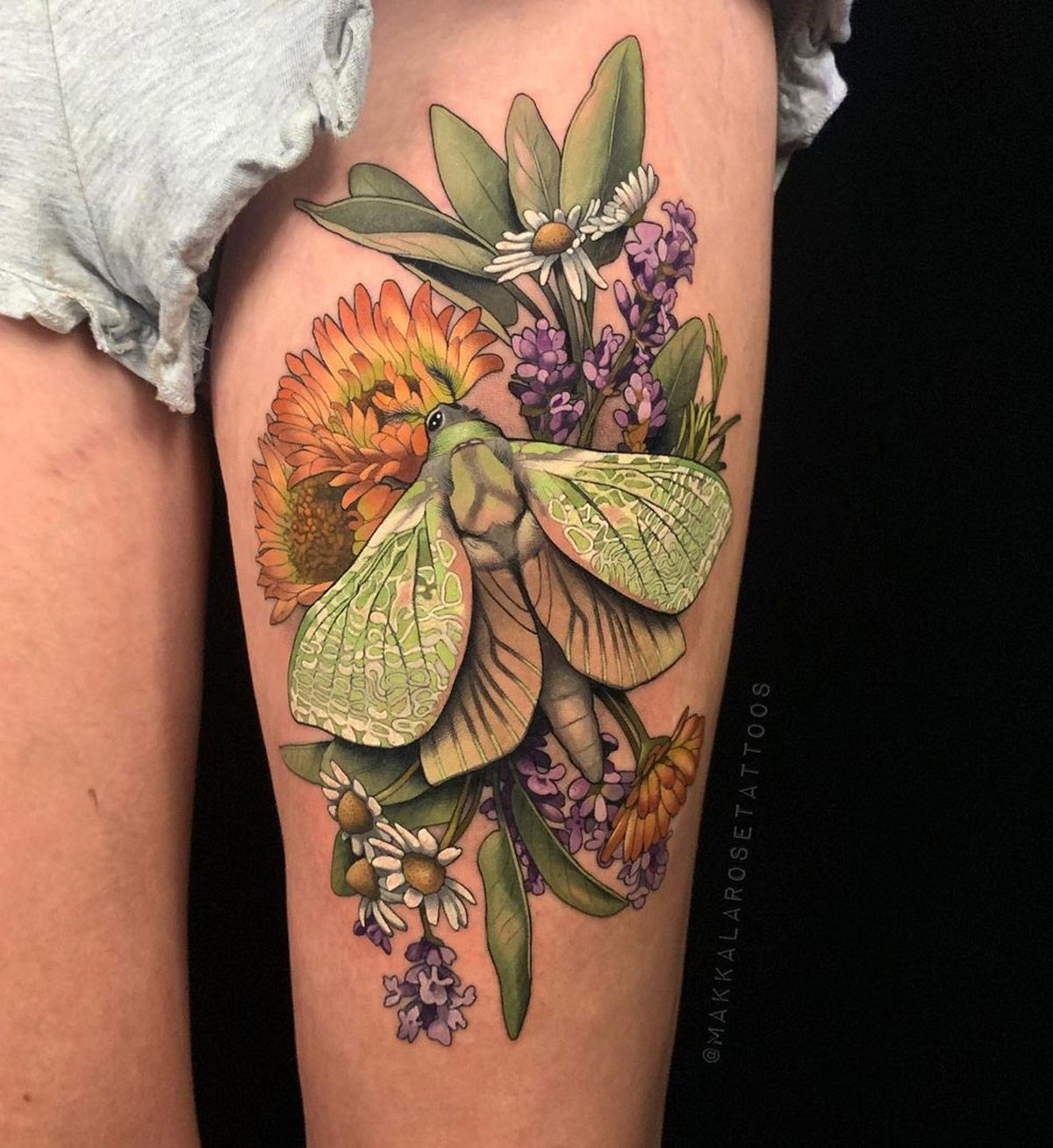 Puriri Moth & Flowers