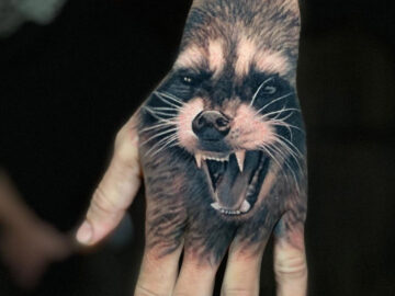 Raccoon Hand