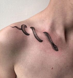 Serpent à clavicule