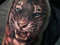 Tiger Portrait Shoulder Tattoo