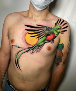 Tatuaje en el pecho del pájaro quetzal